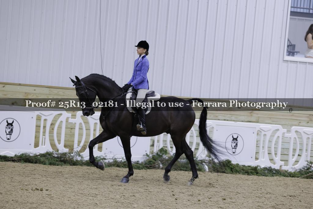 Proof 25R13_02181