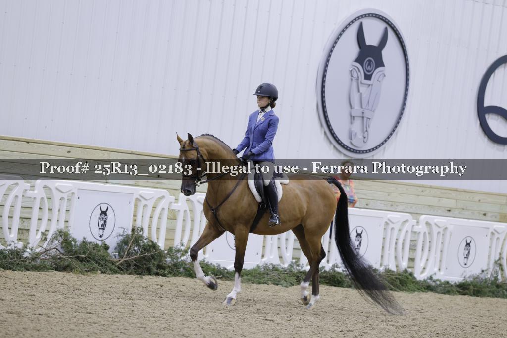 Proof 25R13_02183
