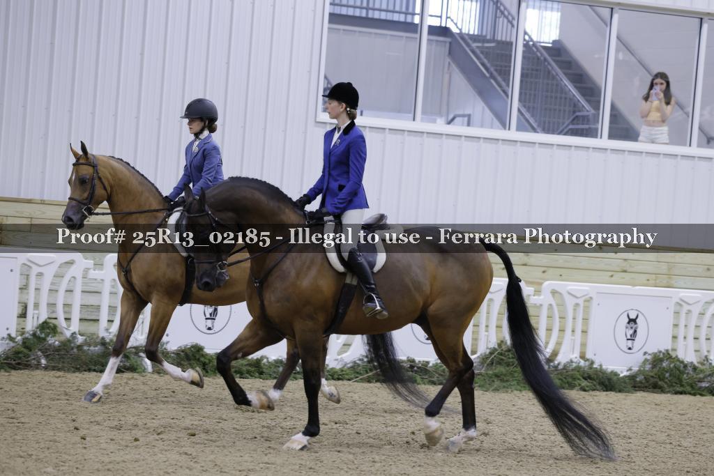 Proof 25R13_02185