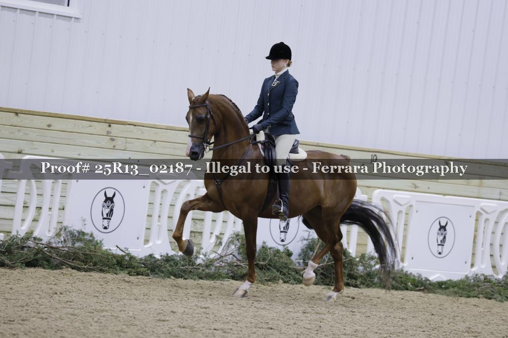 Proof 25R13_02187
