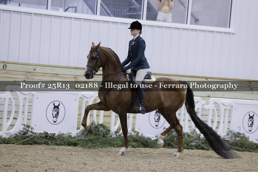 Proof 25R13_02188