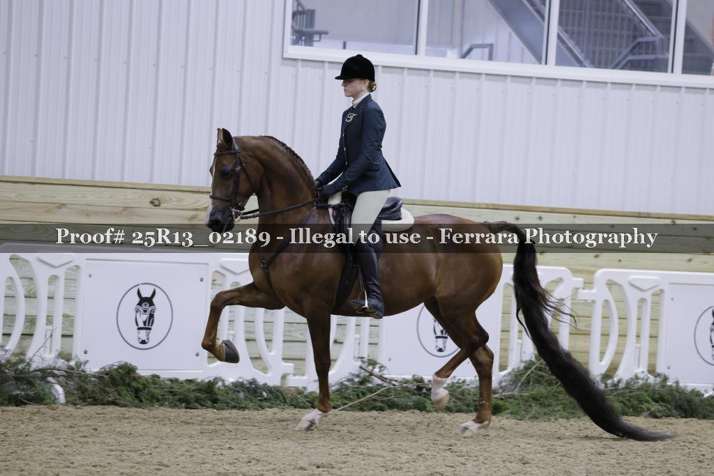 Proof 25R13_02189