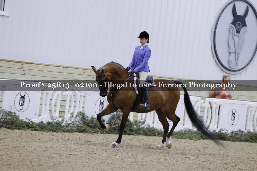 Proof 25R13_02190
