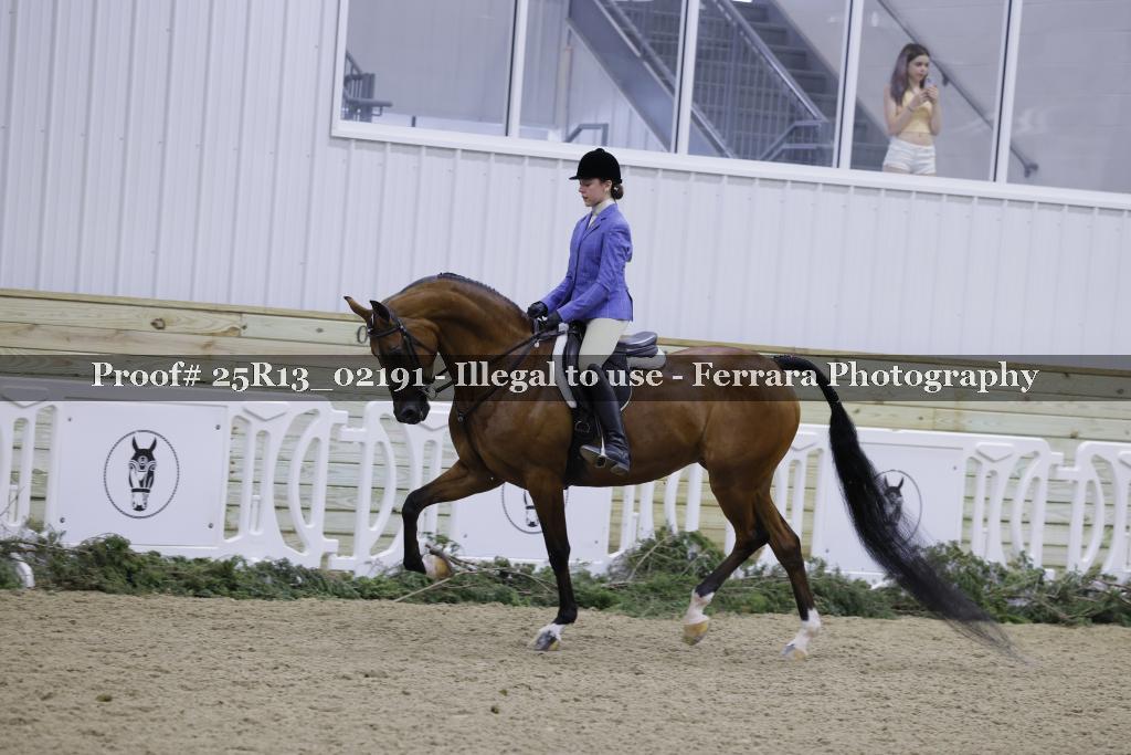 Proof 25R13_02191