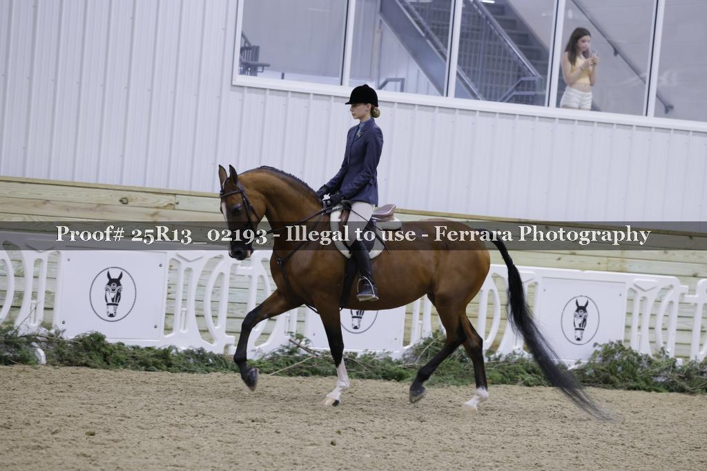 Proof 25R13_02193