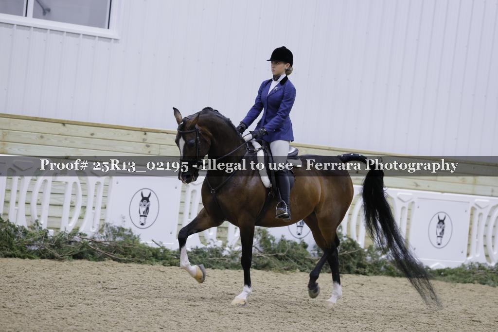 Proof 25R13_02195