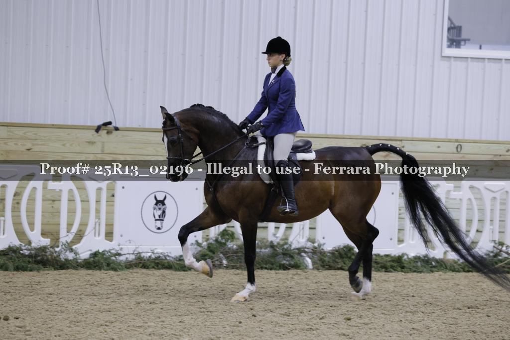 Proof 25R13_02196