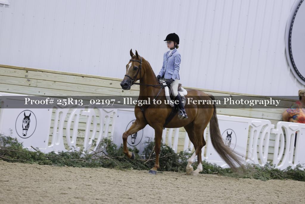 Proof 25R13_02197