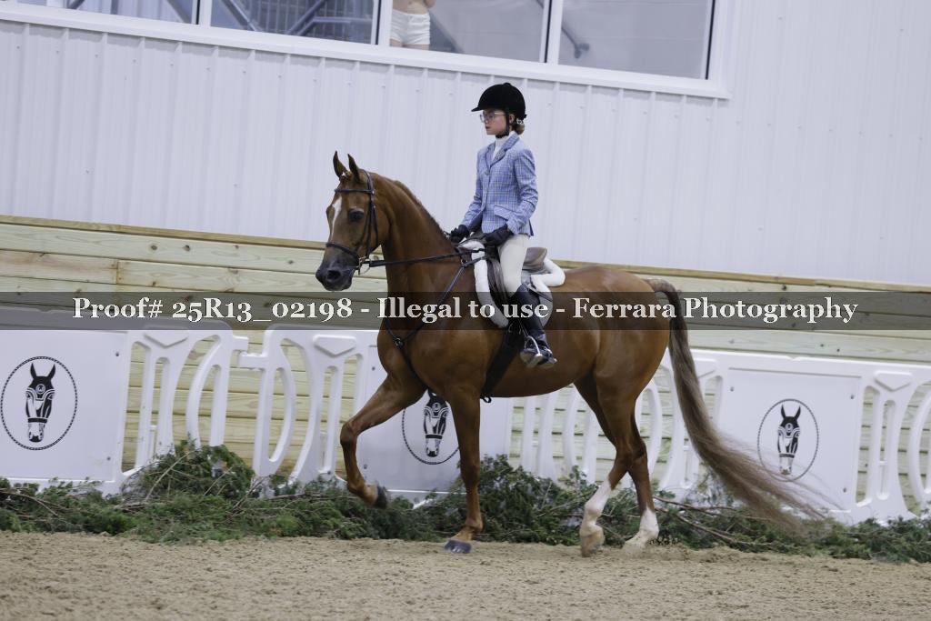 Proof 25R13_02198