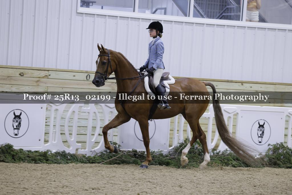Proof 25R13_02199