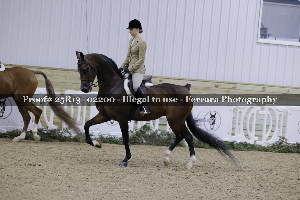 Proof 25R13_02200