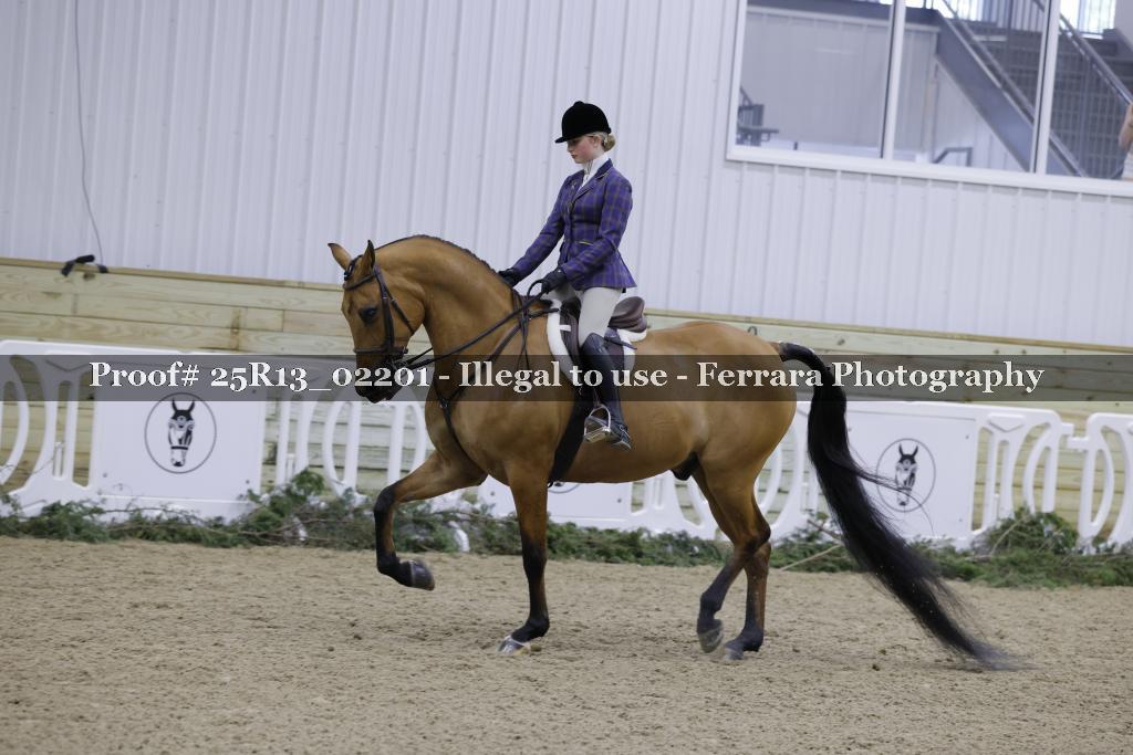 Proof 25R13_02201