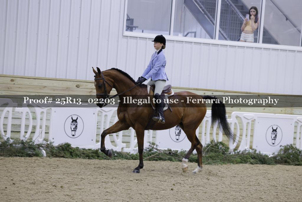 Proof 25R13_02203