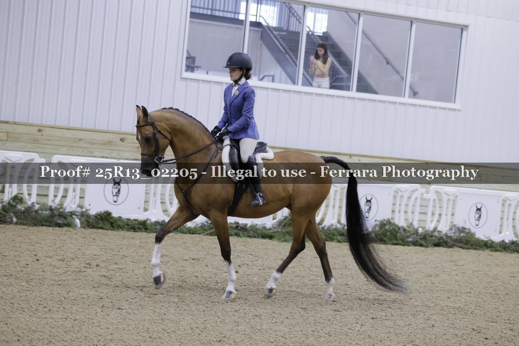 Proof 25R13_02205