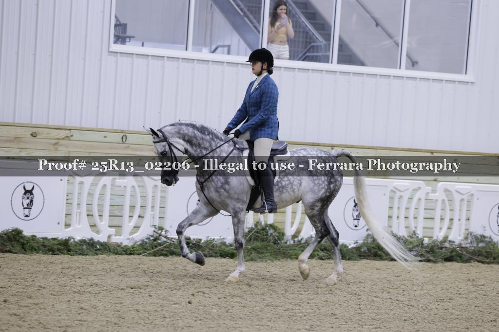 Proof 25R13_02206