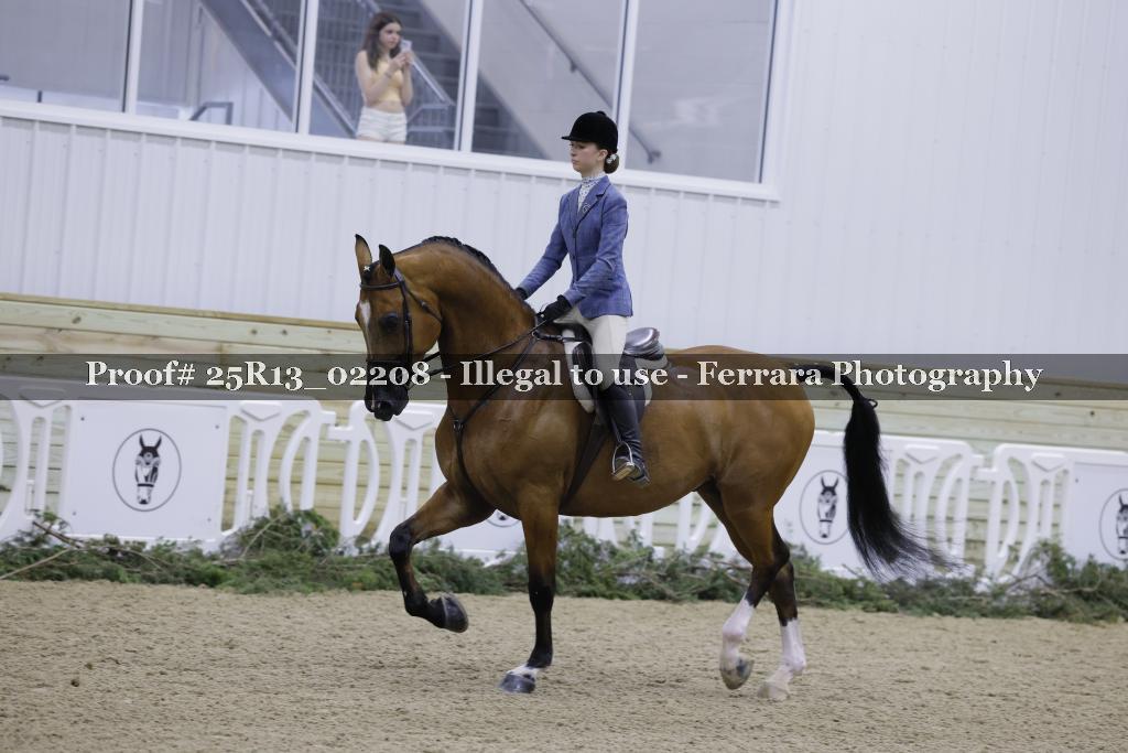 Proof 25R13_02208