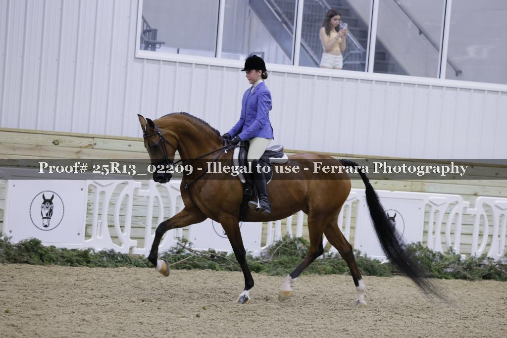Proof 25R13_02209