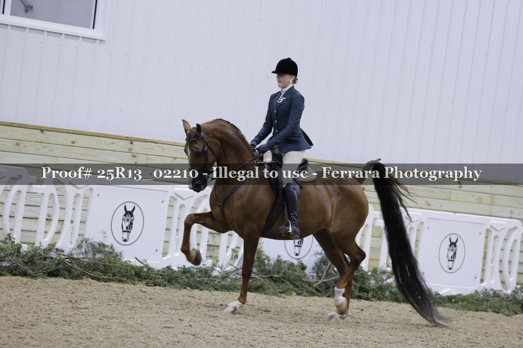 Proof 25R13_02210