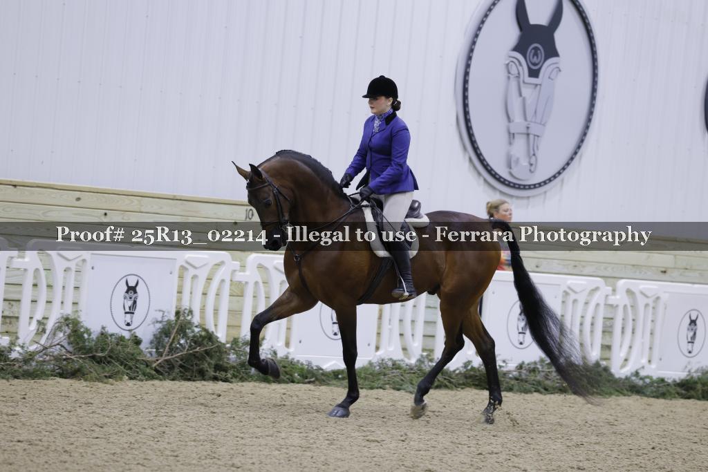Proof 25R13_02214