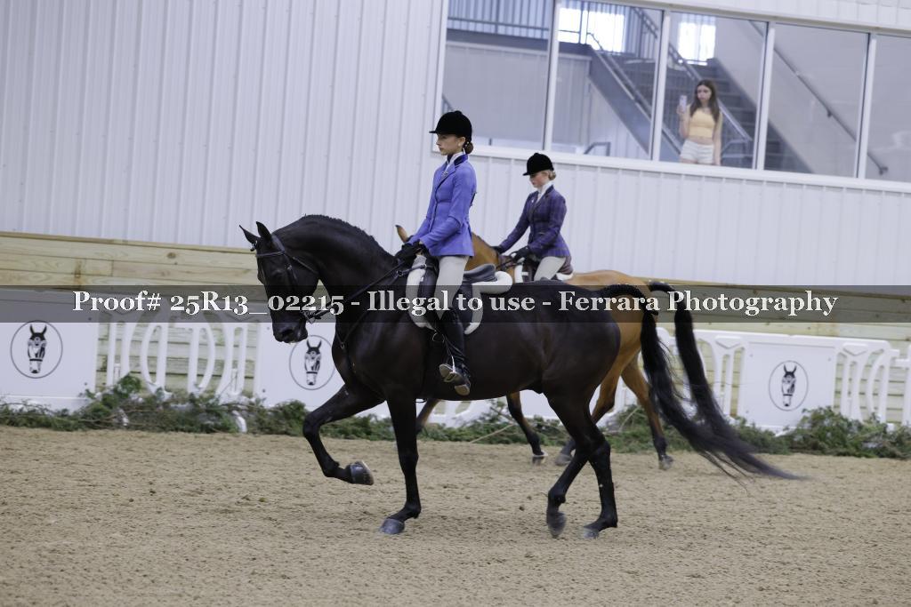 Proof 25R13_02215