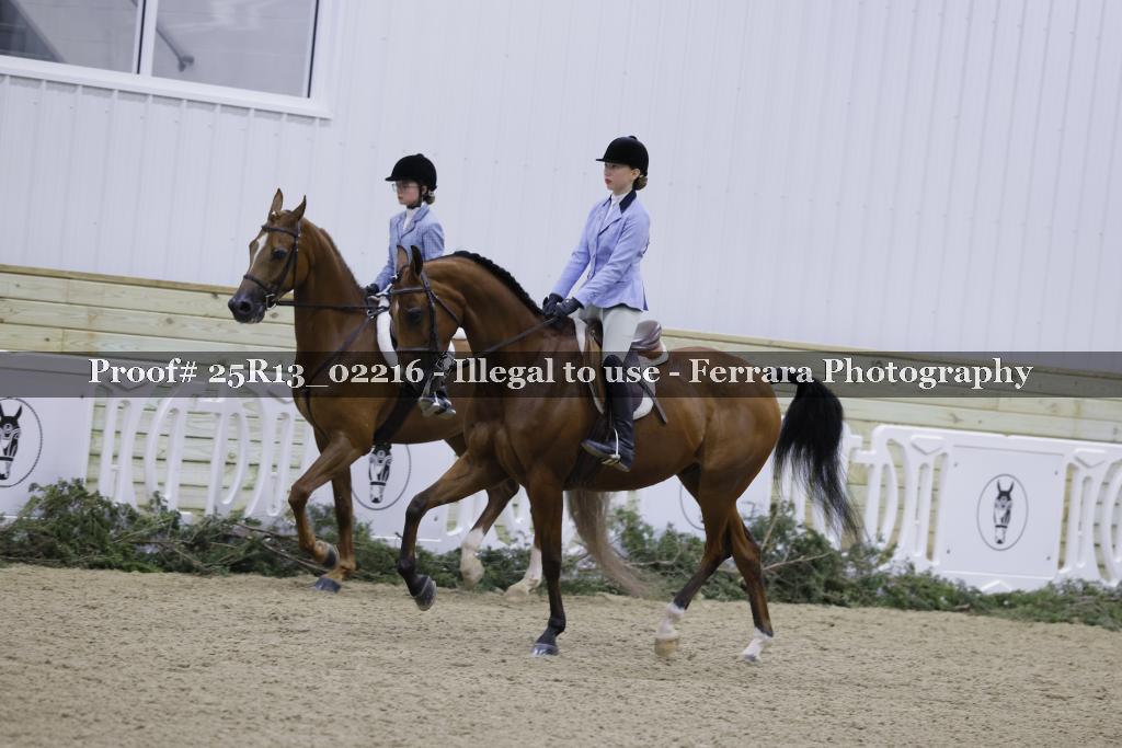Proof 25R13_02216