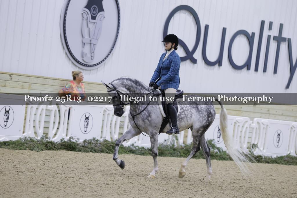 Proof 25R13_02217