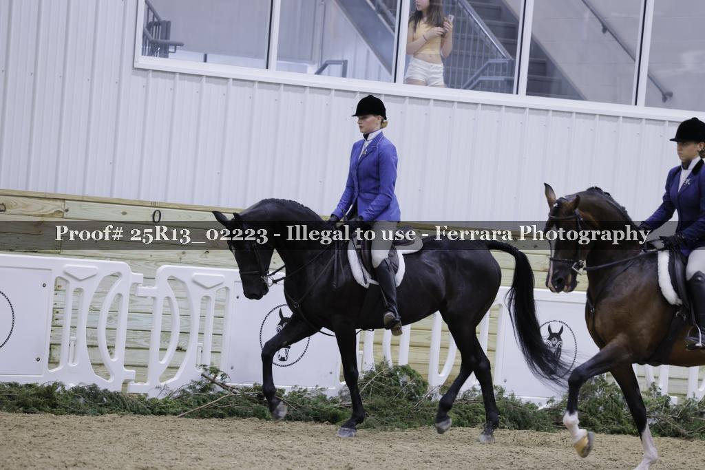 Proof 25R13_02223