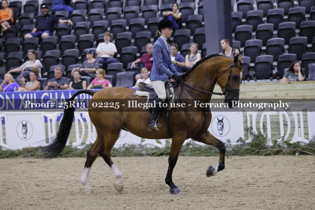 Proof 25R13_02225