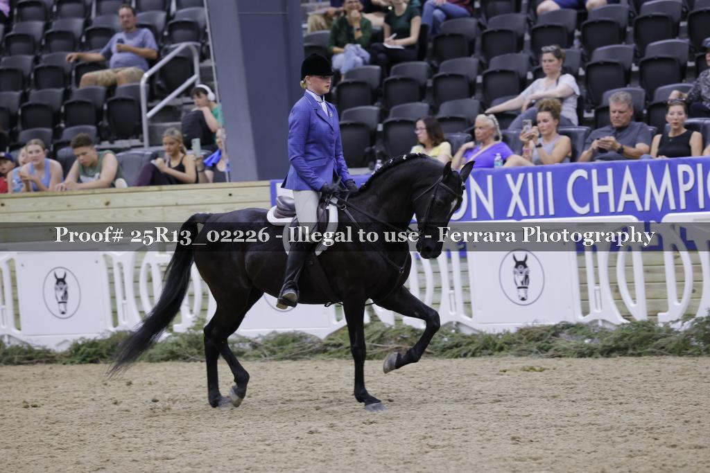 Proof 25R13_02226
