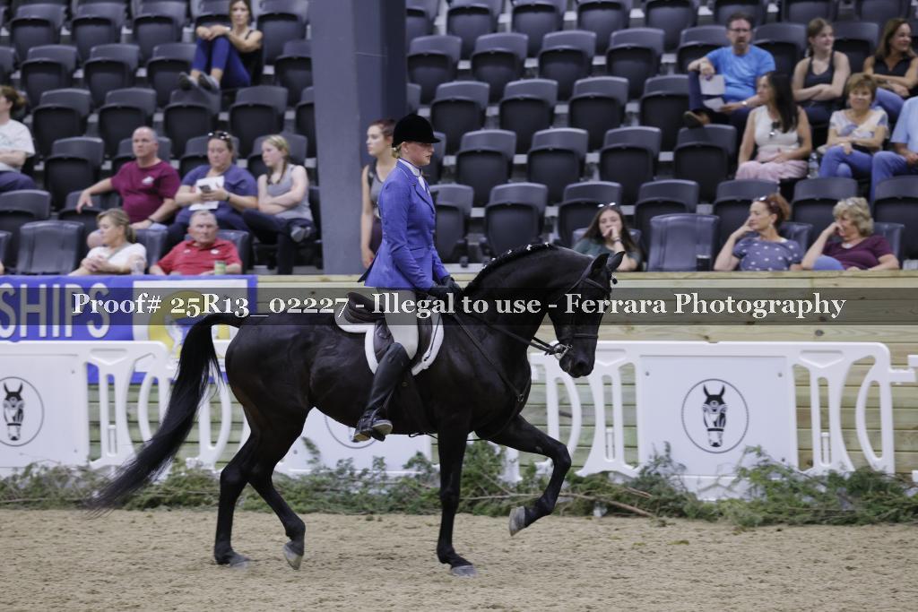 Proof 25R13_02227