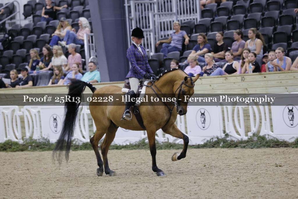 Proof 25R13_02228