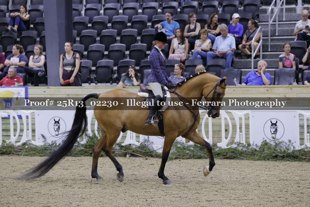 Proof 25R13_02230