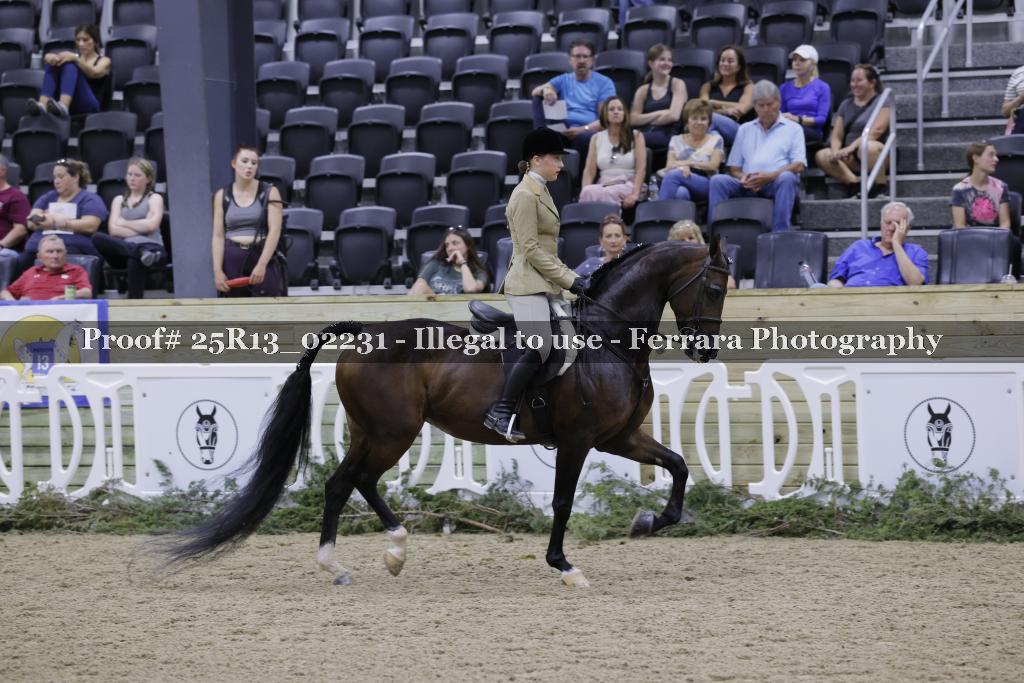 Proof 25R13_02231