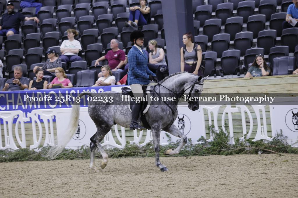 Proof 25R13_02233