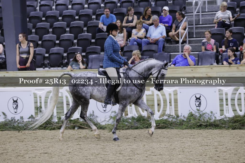 Proof 25R13_02234
