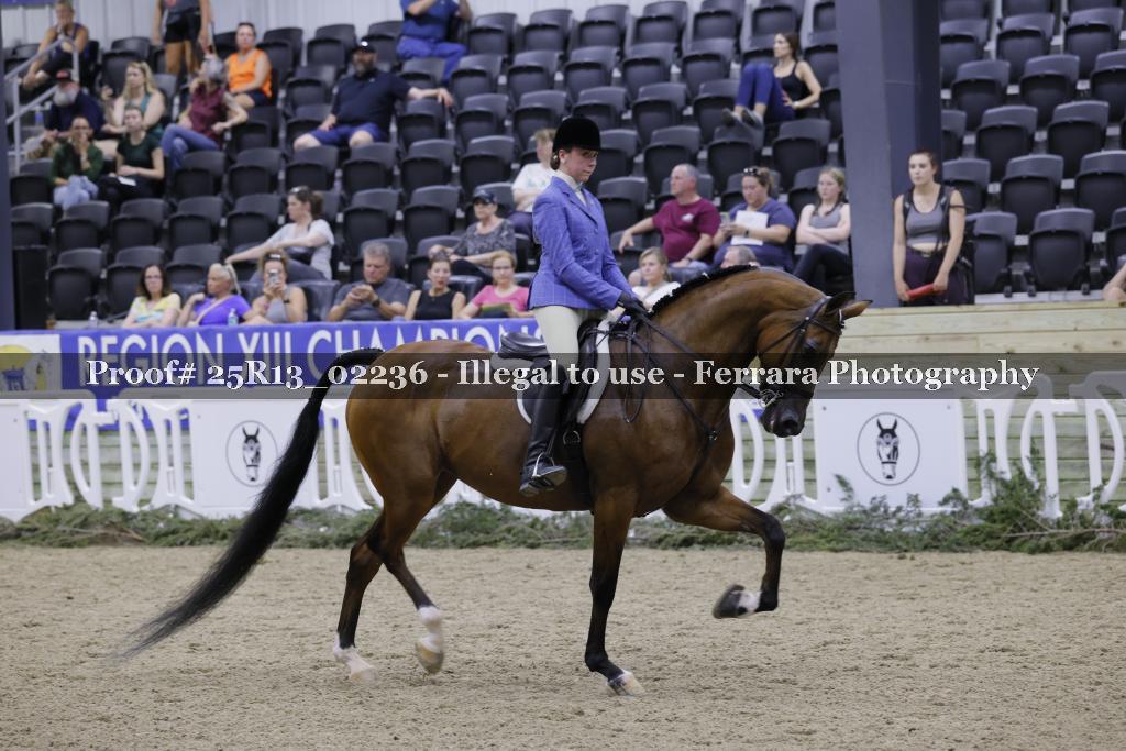 Proof 25R13_02236