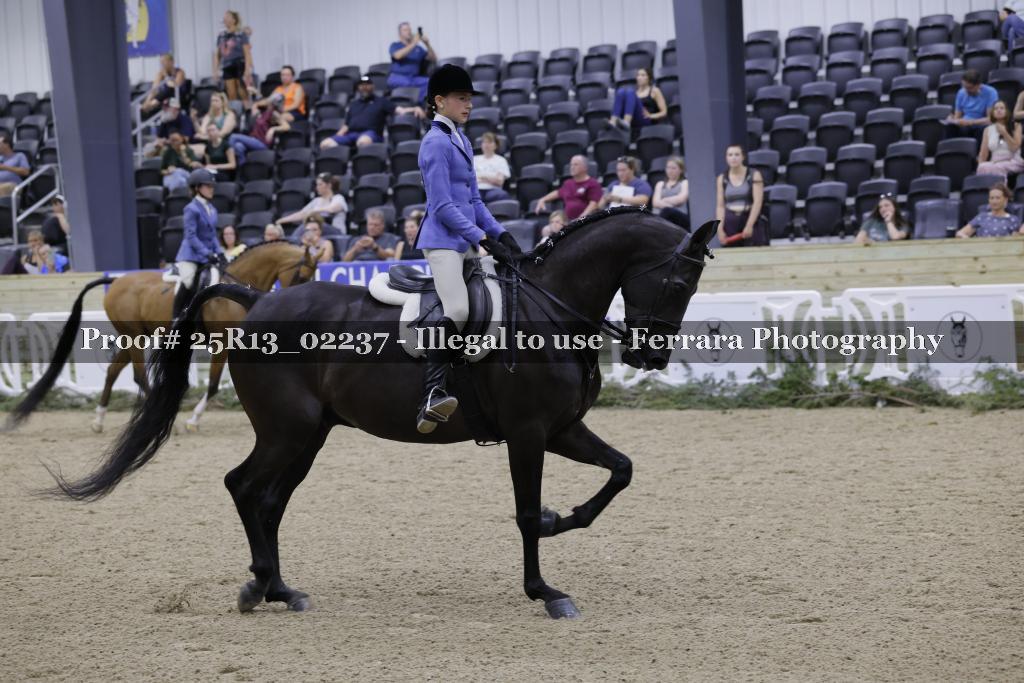 Proof 25R13_02237