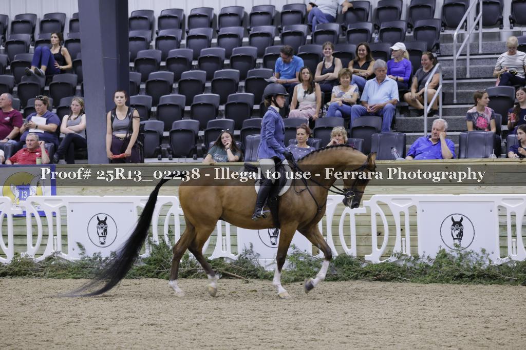 Proof 25R13_02238