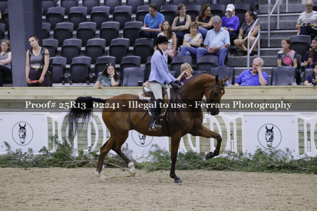 Proof 25R13_02241