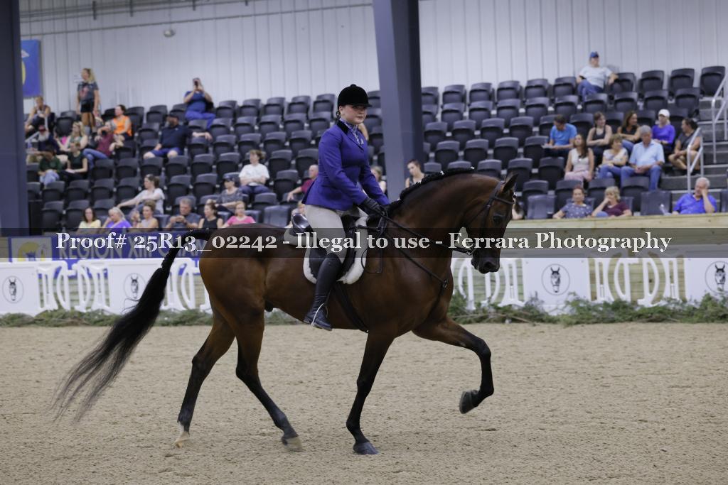 Proof 25R13_02242