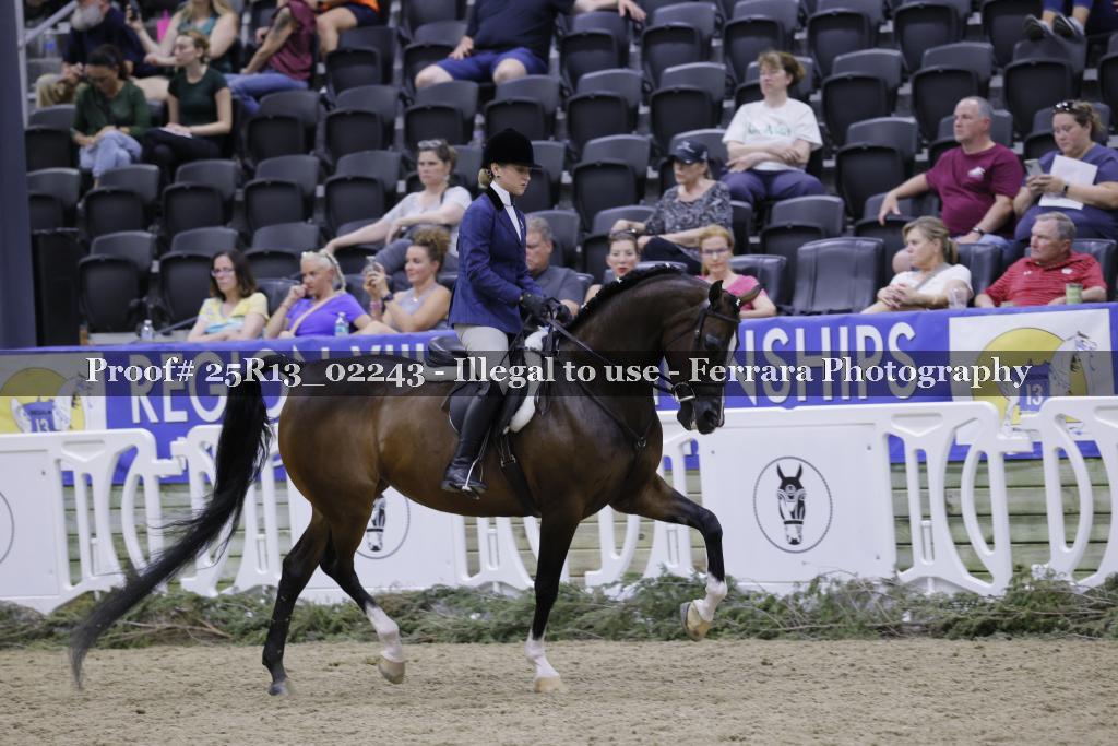 Proof 25R13_02243