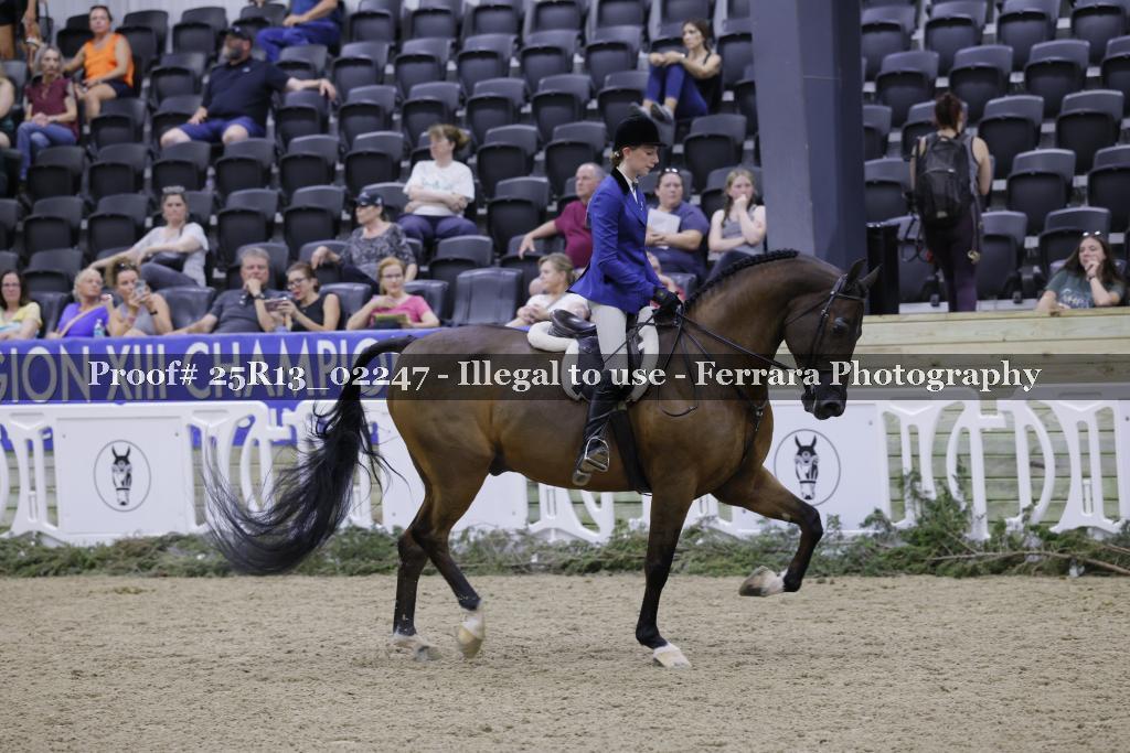 Proof 25R13_02247