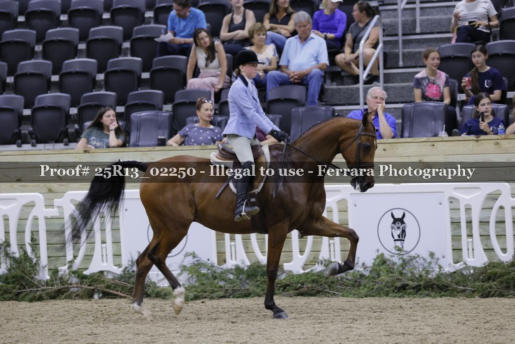Proof 25R13_02250
