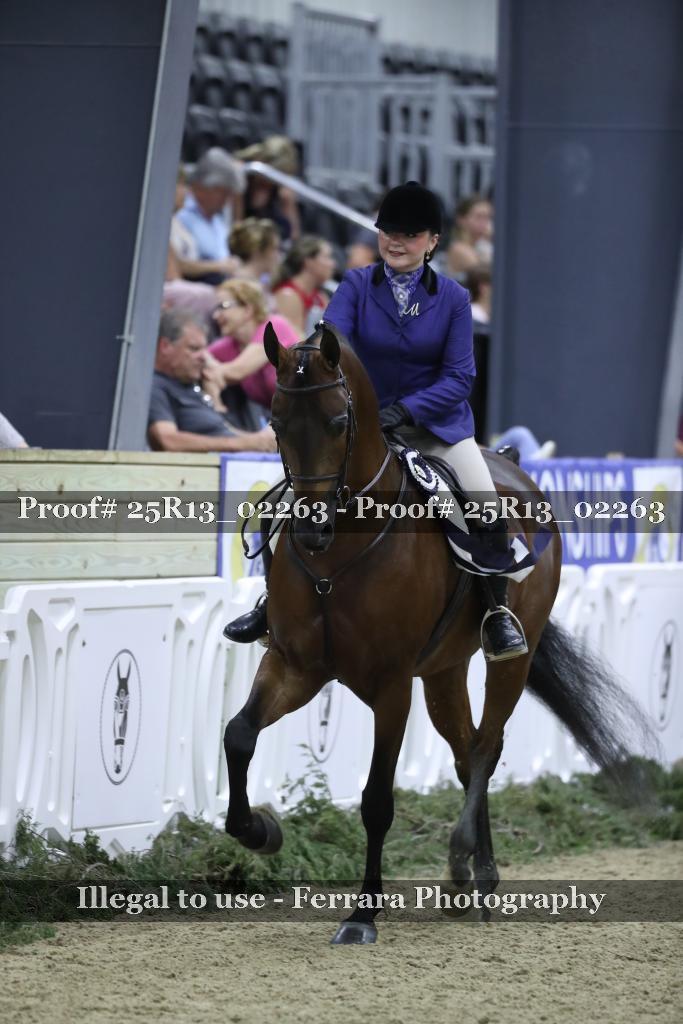 Proof 25R13_02263