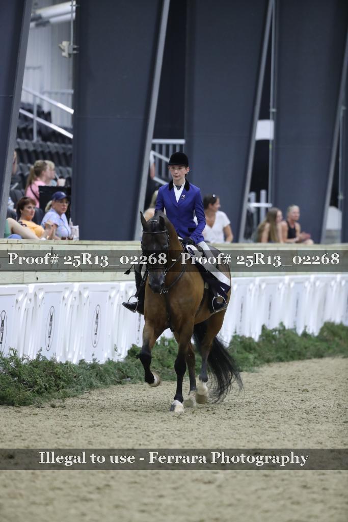 Proof 25R13_02268