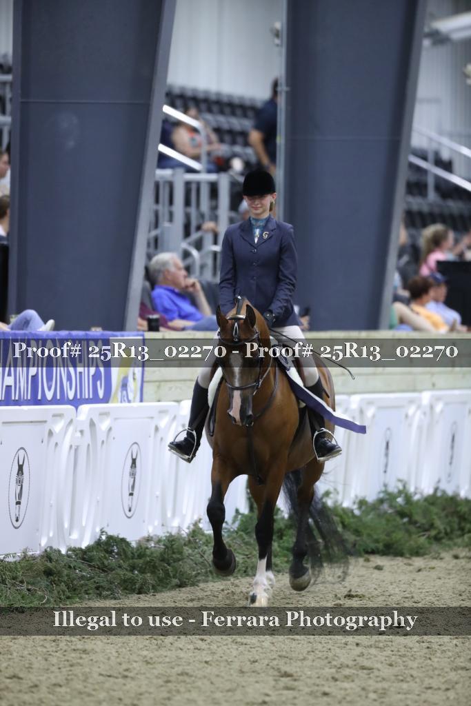 Proof 25R13_02270