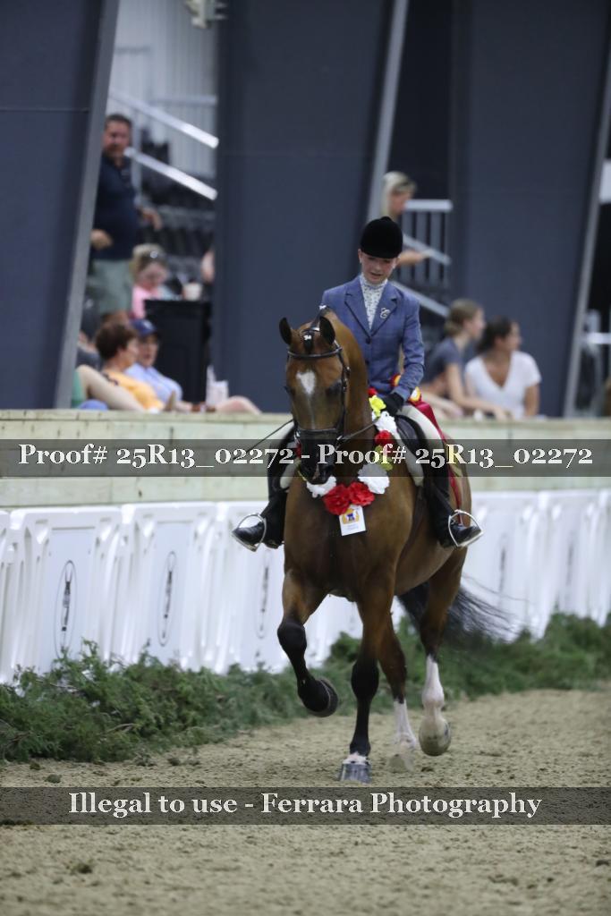Proof 25R13_02272