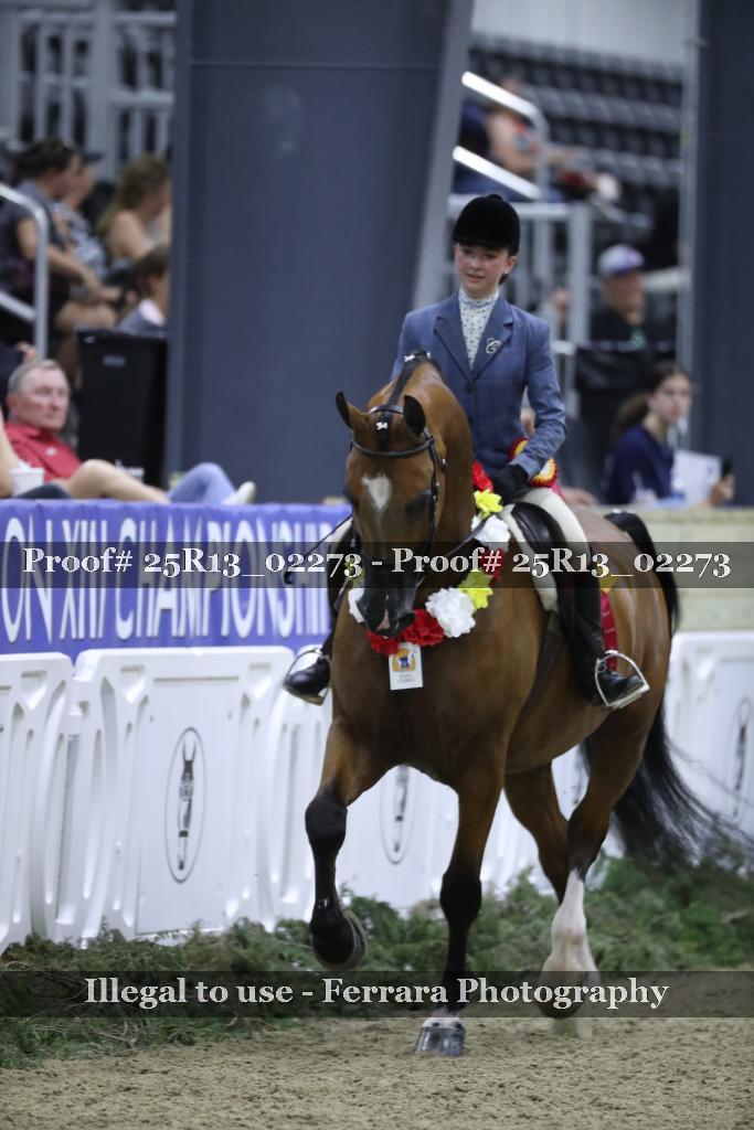 Proof 25R13_02273