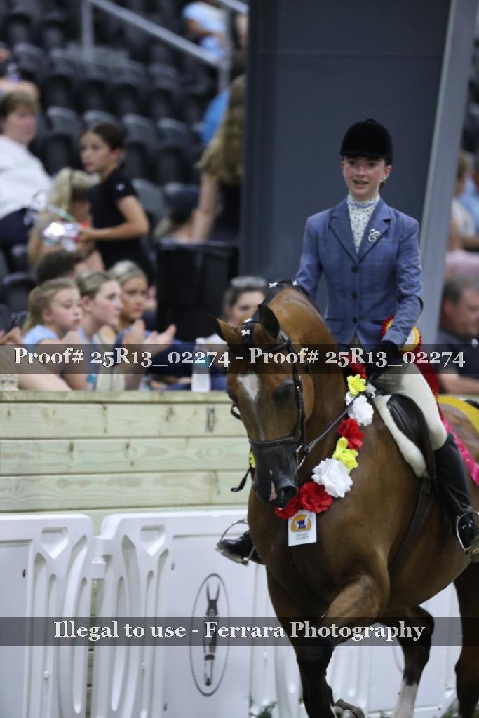 Proof 25R13_02274