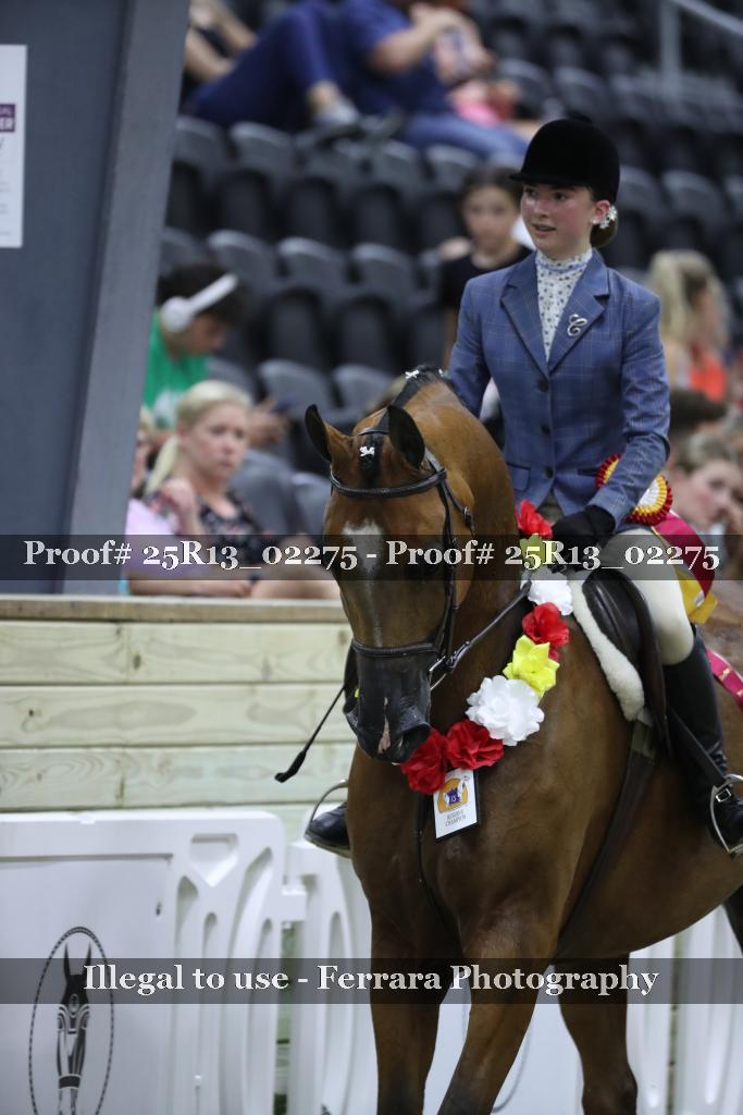 Proof 25R13_02275